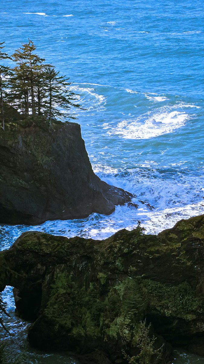paths_waves's tweet image. ocean currents

pathsandwaves.com

Coastals - Vol. 1 - Get your copy today 🏄‍♂️📸

#ocean #waves #pnw #photography #nature #hike