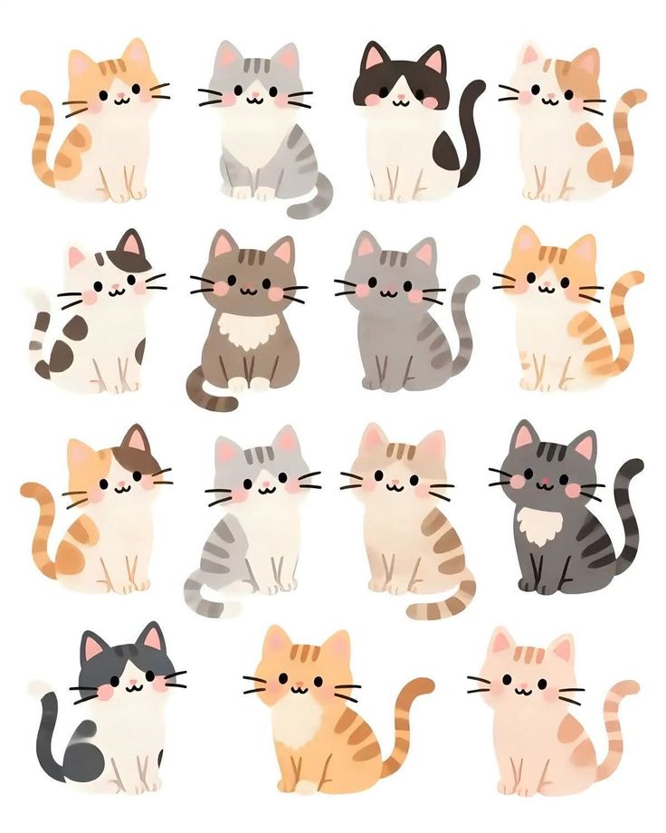 Solithra ☀️ tweet media