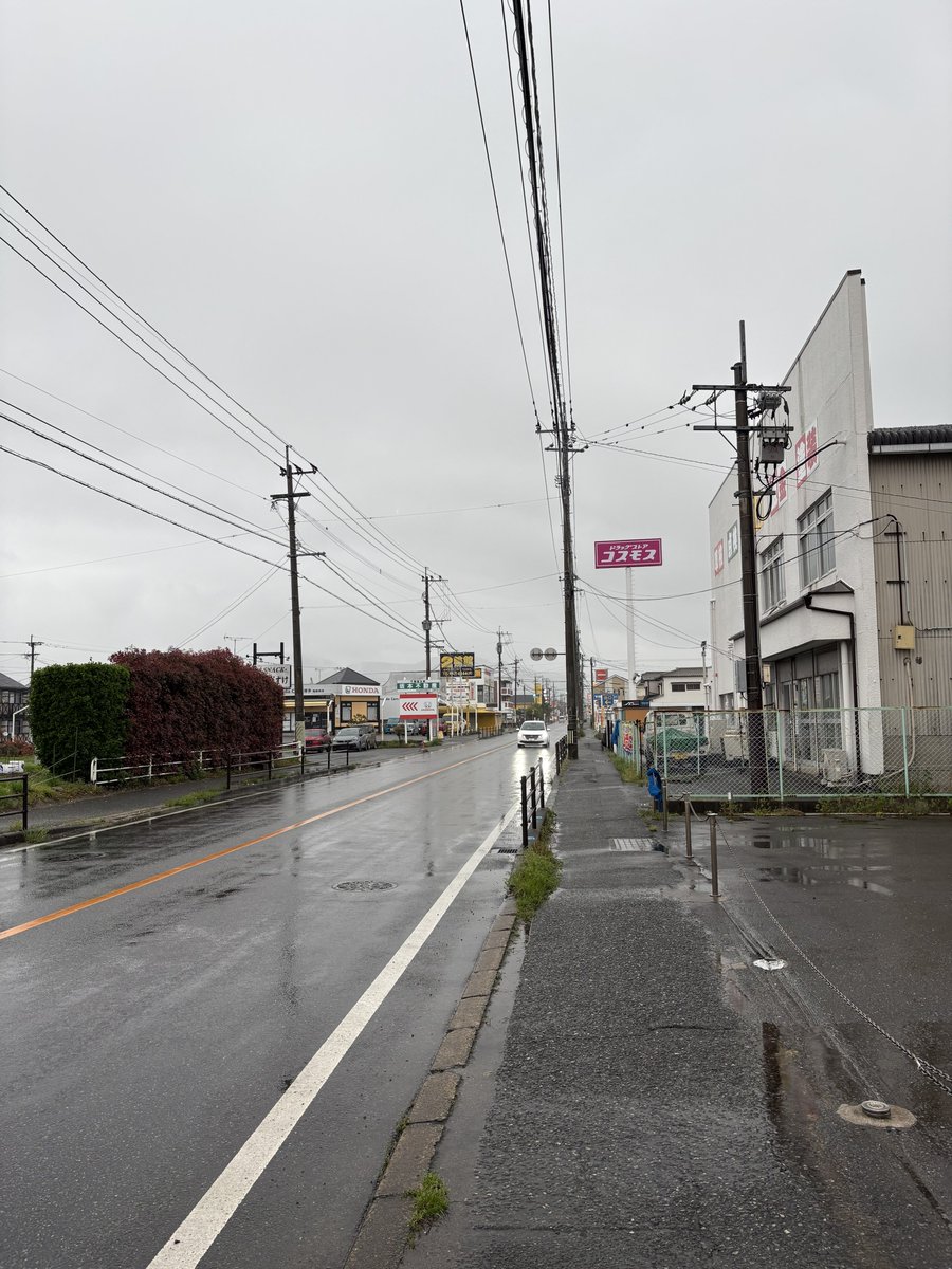 健康マニア tweet media