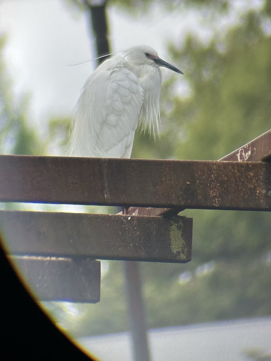 ぬくぬくtomo🌈 tweet media