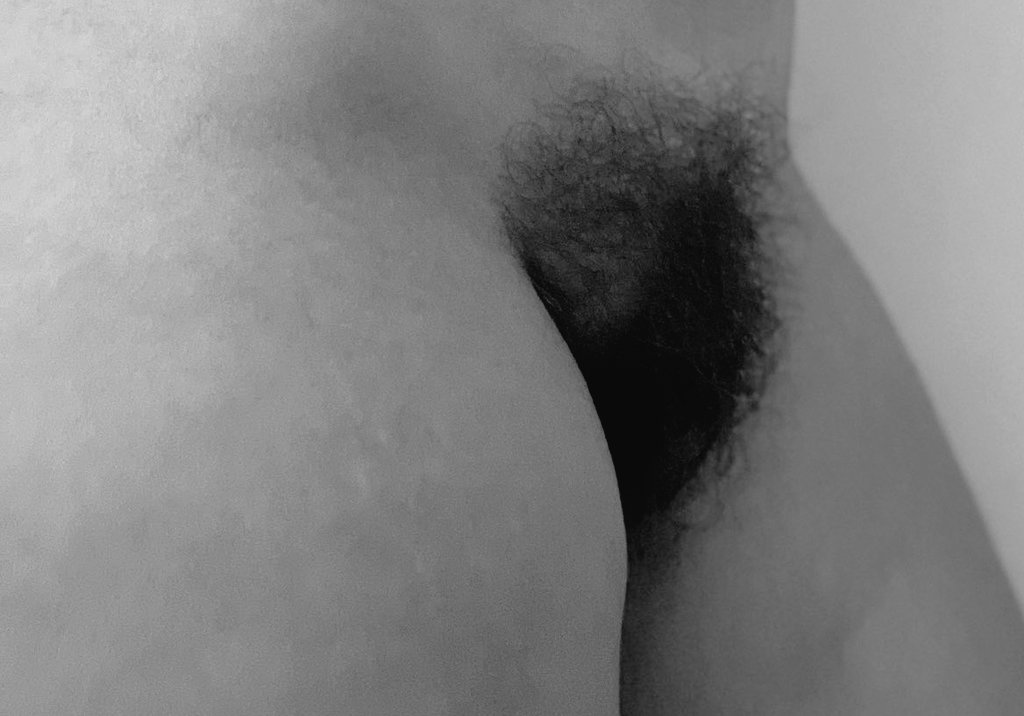 partequla tweet media