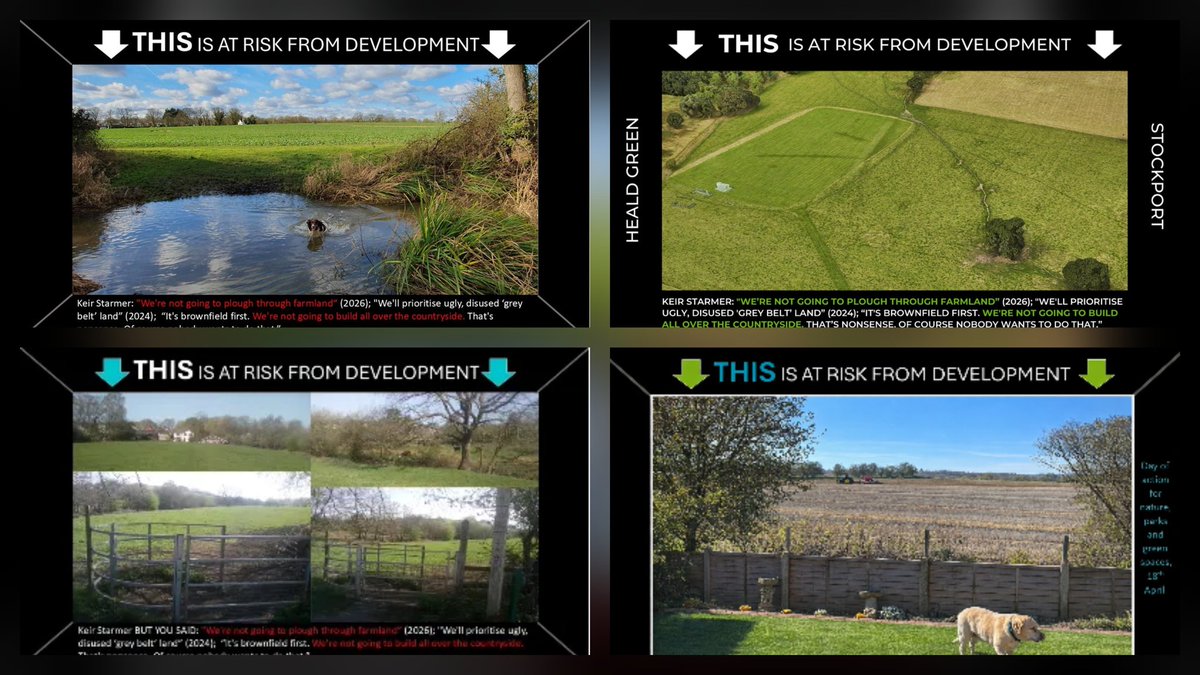 CommunityPlanningAlliance 🦇🦎 tweet media