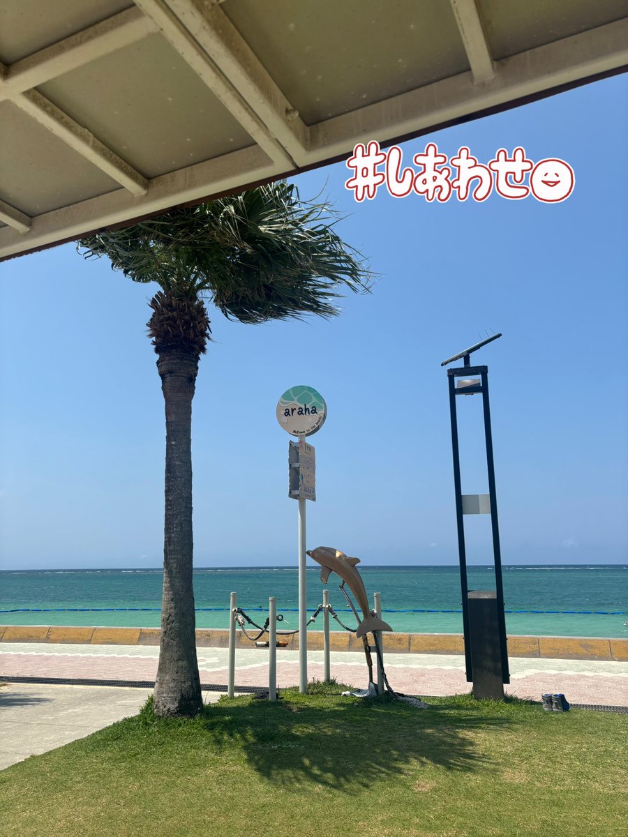 けーこ✩.*˚ tweet media