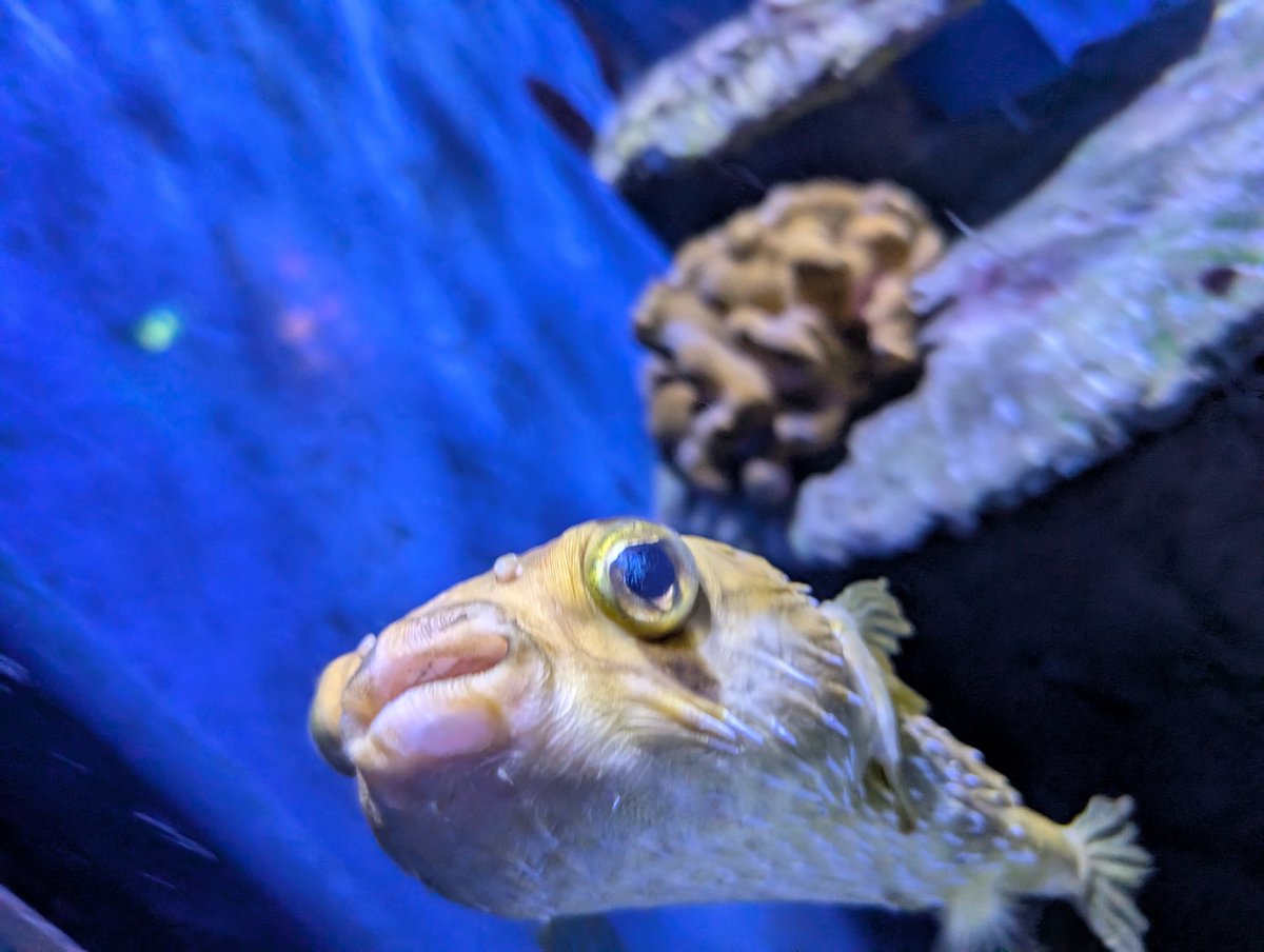 Jaye (they/she) 🏳️‍⚧️🏳️‍🌈 tweet media