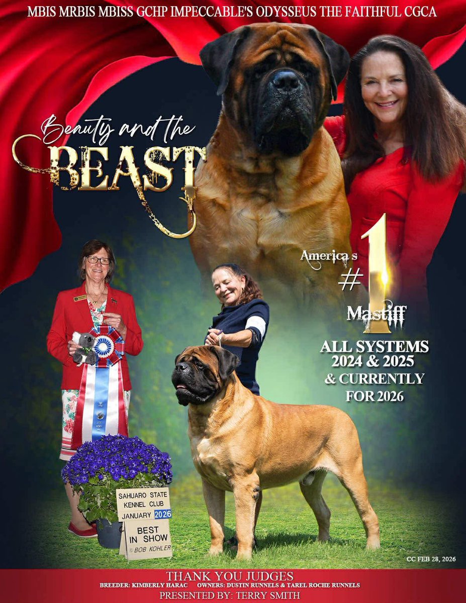dustinrhodes's tweet image. Just some #beast, love!!!
#Mastiffs are the most incredible breed to me, out there. I have always had Dogs in my life since I was a child, always loved. My dogs didn't matter which breed, but I'm very partial to big dogs. Mastiffs come from the Roman times, and they were