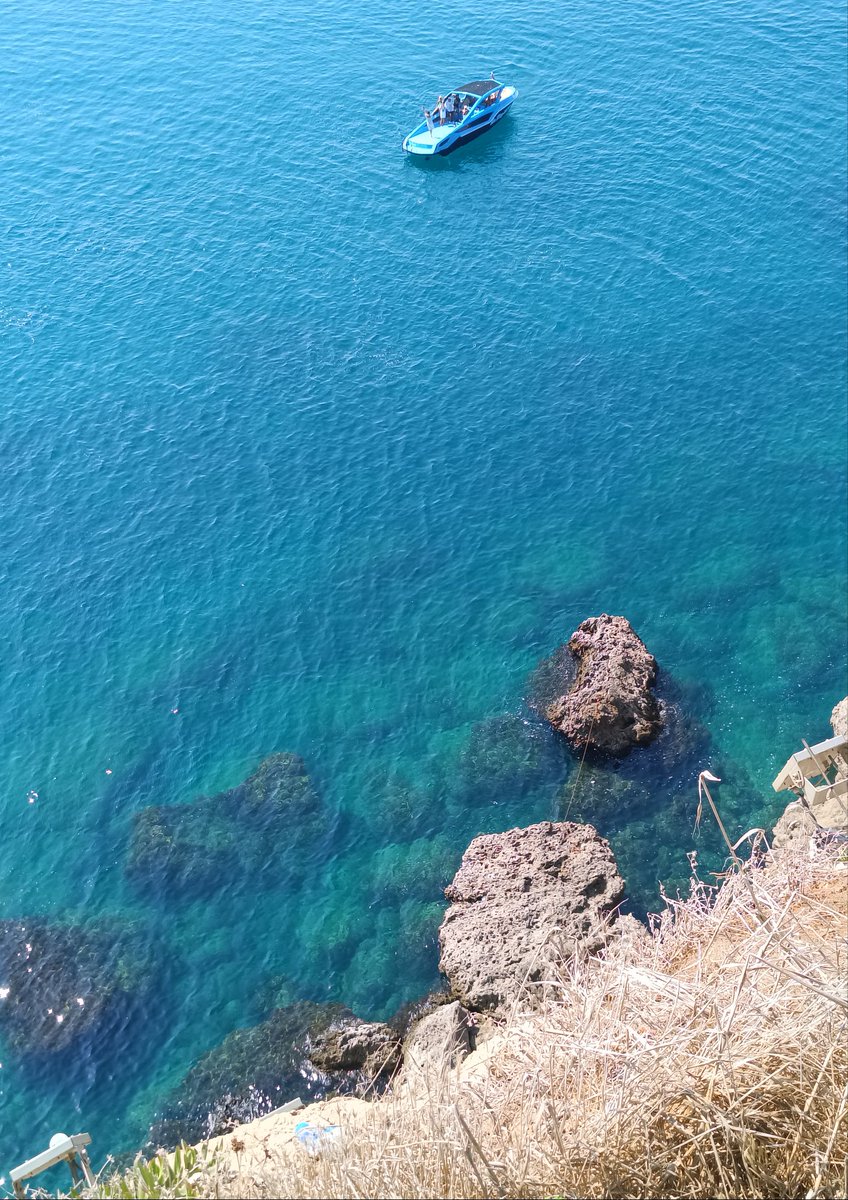 🇩🇿 tweet media