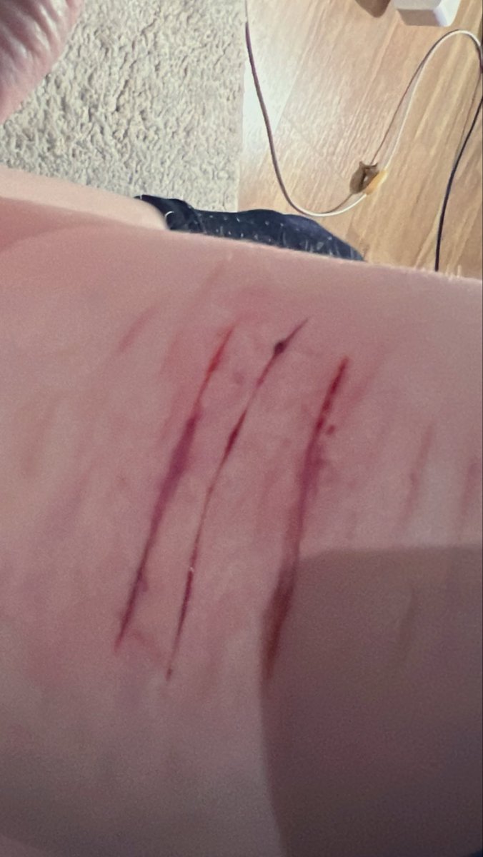 ୨⎯ Rory ⎯୧ tweet media