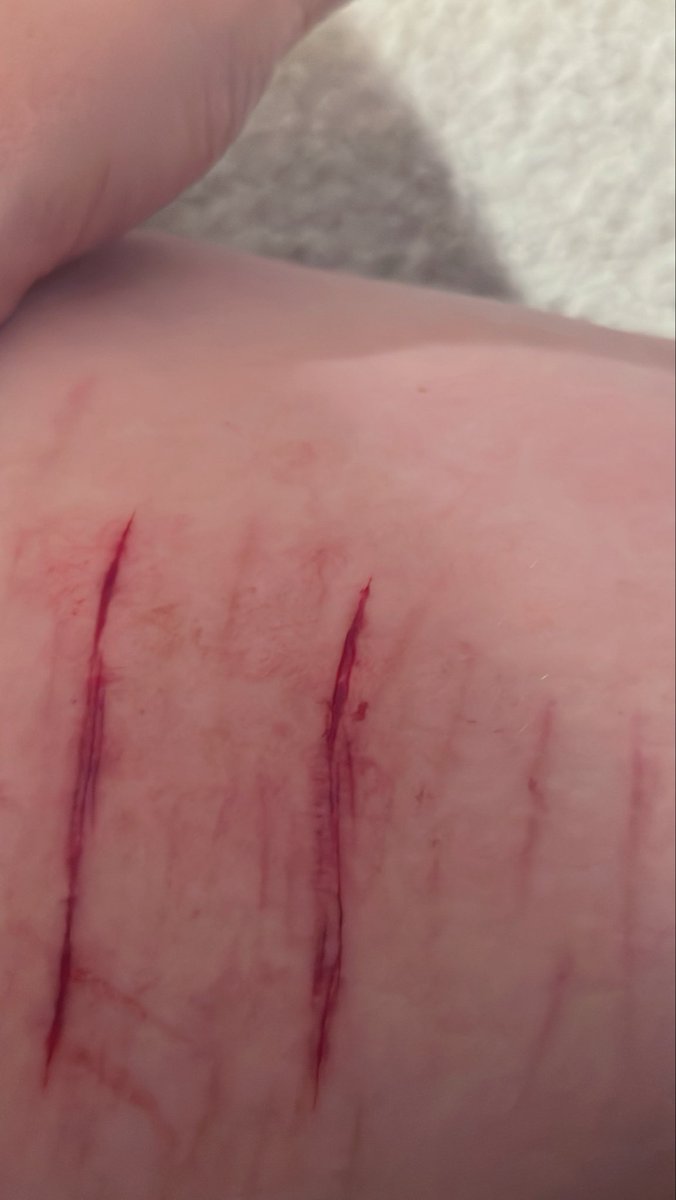 ୨⎯ Rory ⎯୧ tweet media