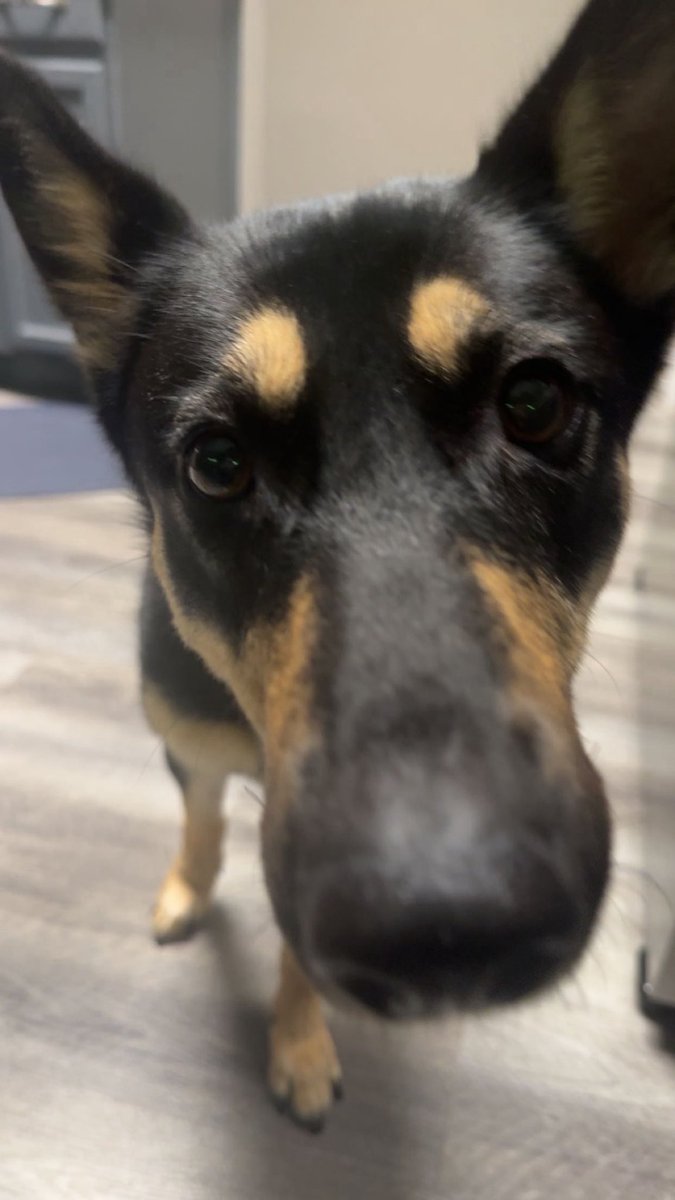 twis cold tweet media