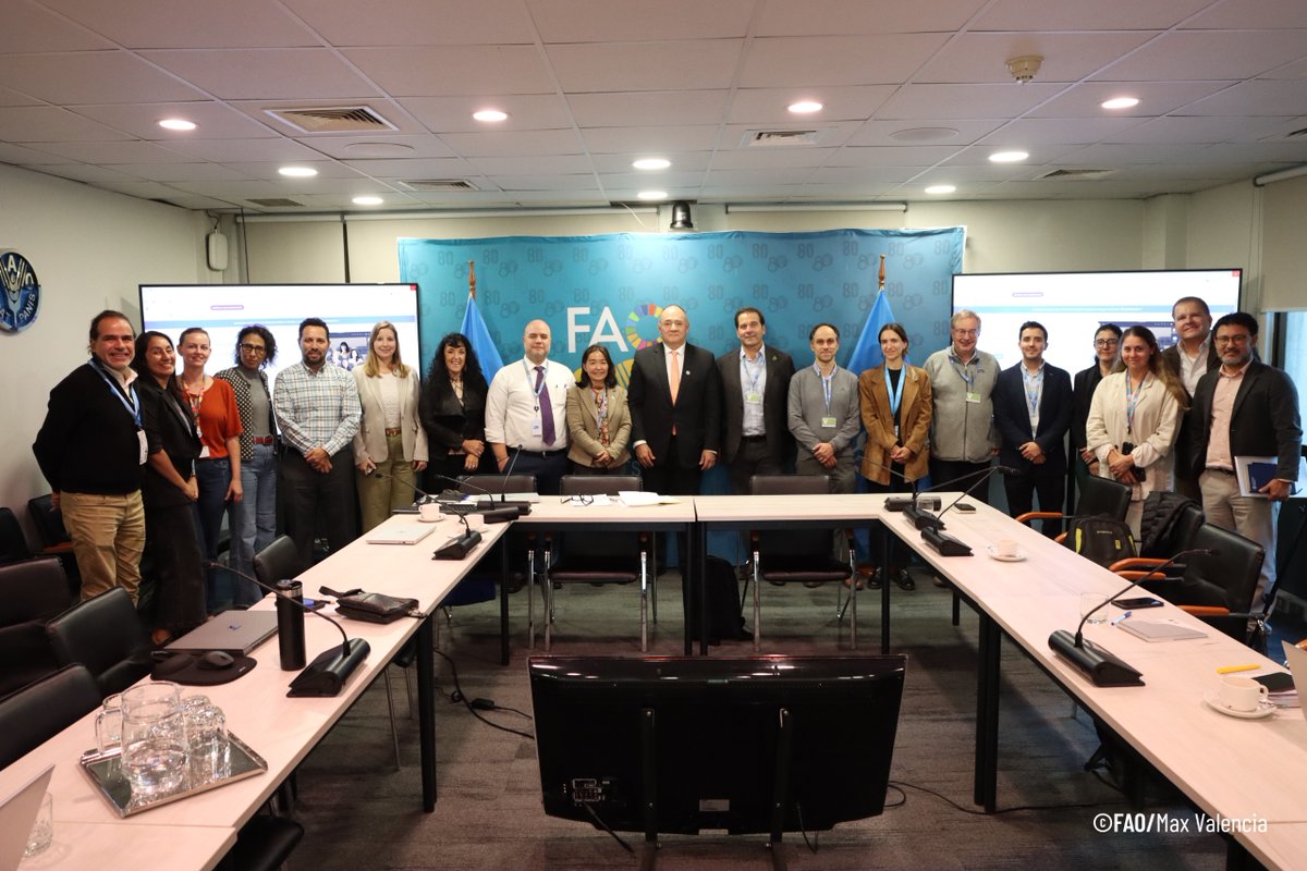 Rene Orellana Halkyer tweet media