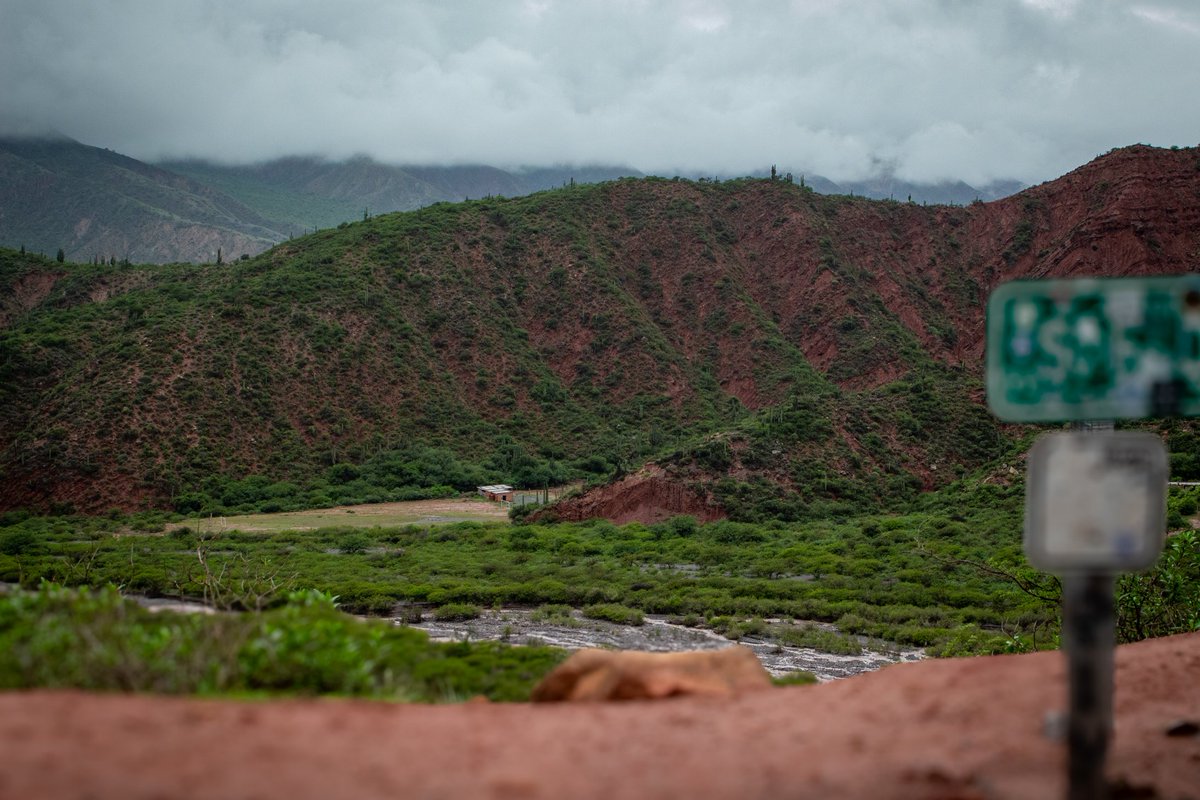 Alex Hochuli 🧉🎙️🤯📉 tweet media