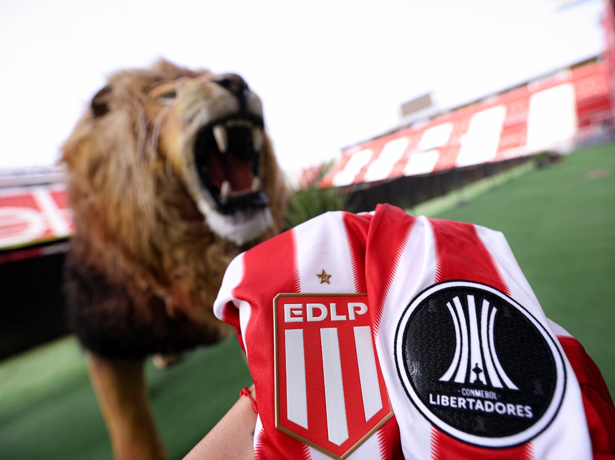 Brujita Veronista 🇦🇹 ⭐️ ¹⁶(Cris Barrera) tweet media