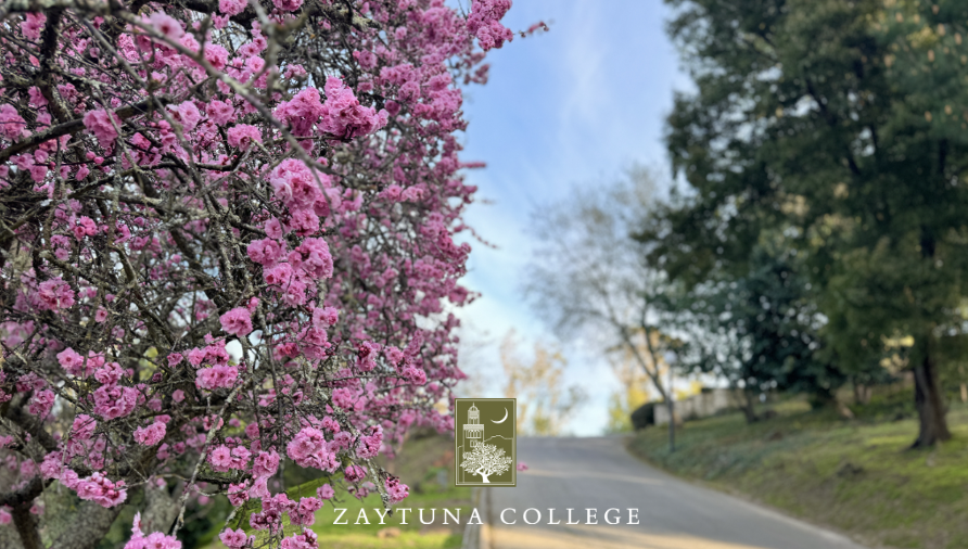 Thank you to all who joined us last weekend for Zaytuna Day in spite of the inclement weather. We were honored to host you – especially those who traveled great distances to be here. Your presence brought radiance and warmth on a rainy day.

Visitors who comment on the beauty of