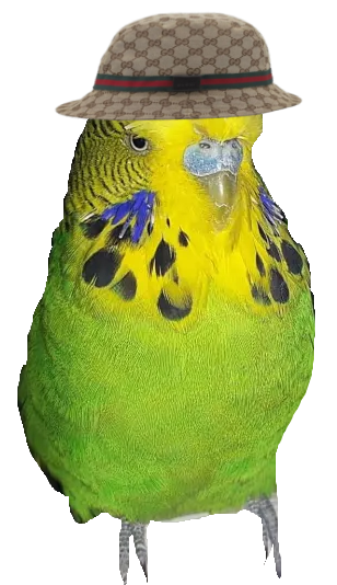 koopzNetworkManager tweet media