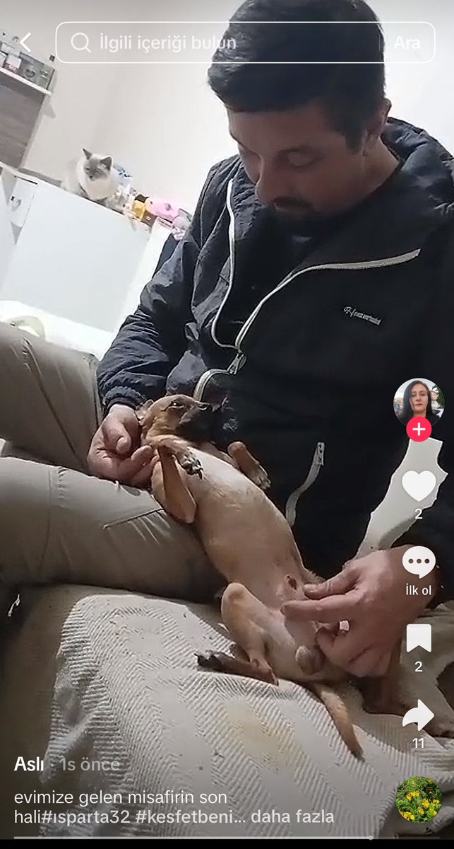 danasu naz tweet media