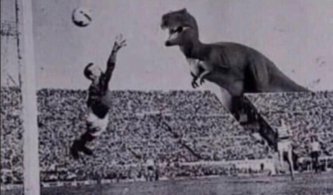 Tang Ñang ⭐⭐ tweet media