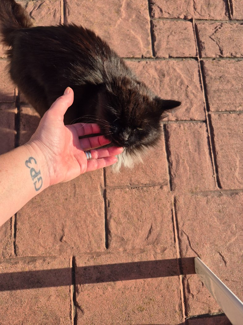 No Work 4 the Summer tweet media