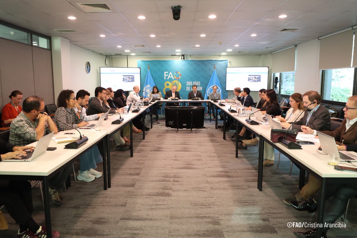 Rene Orellana Halkyer tweet media