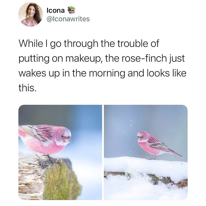 Eric Alper 🎧 tweet media