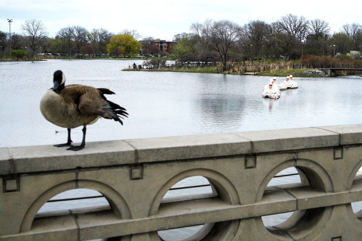 Block Club Chicago tweet media