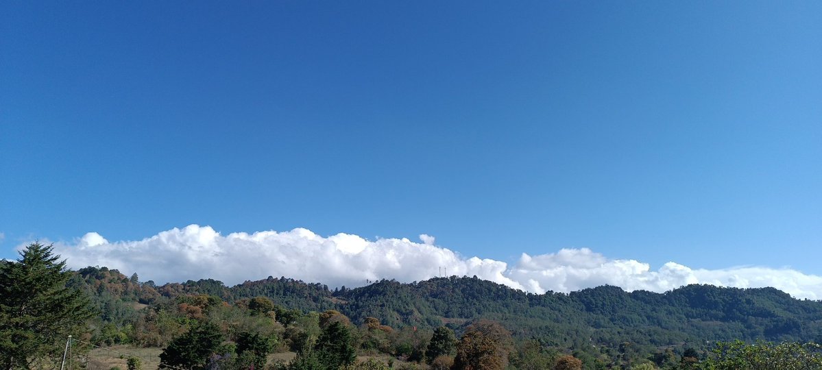 Jotaro_032's tweet image. Mucho mame con lo de tocar pasto y al chile si, pero me la paso más en campo que en mi ciudad 🌱