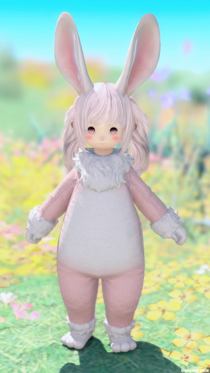 もふこ💭 tweet media