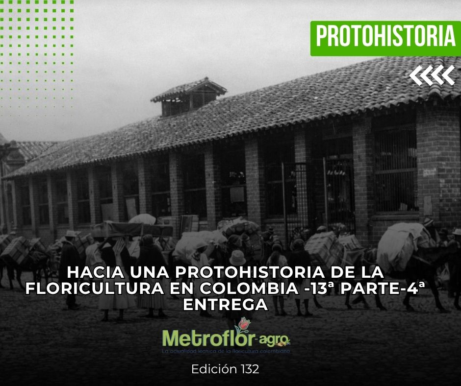 Revista Metroflor-agro tweet media