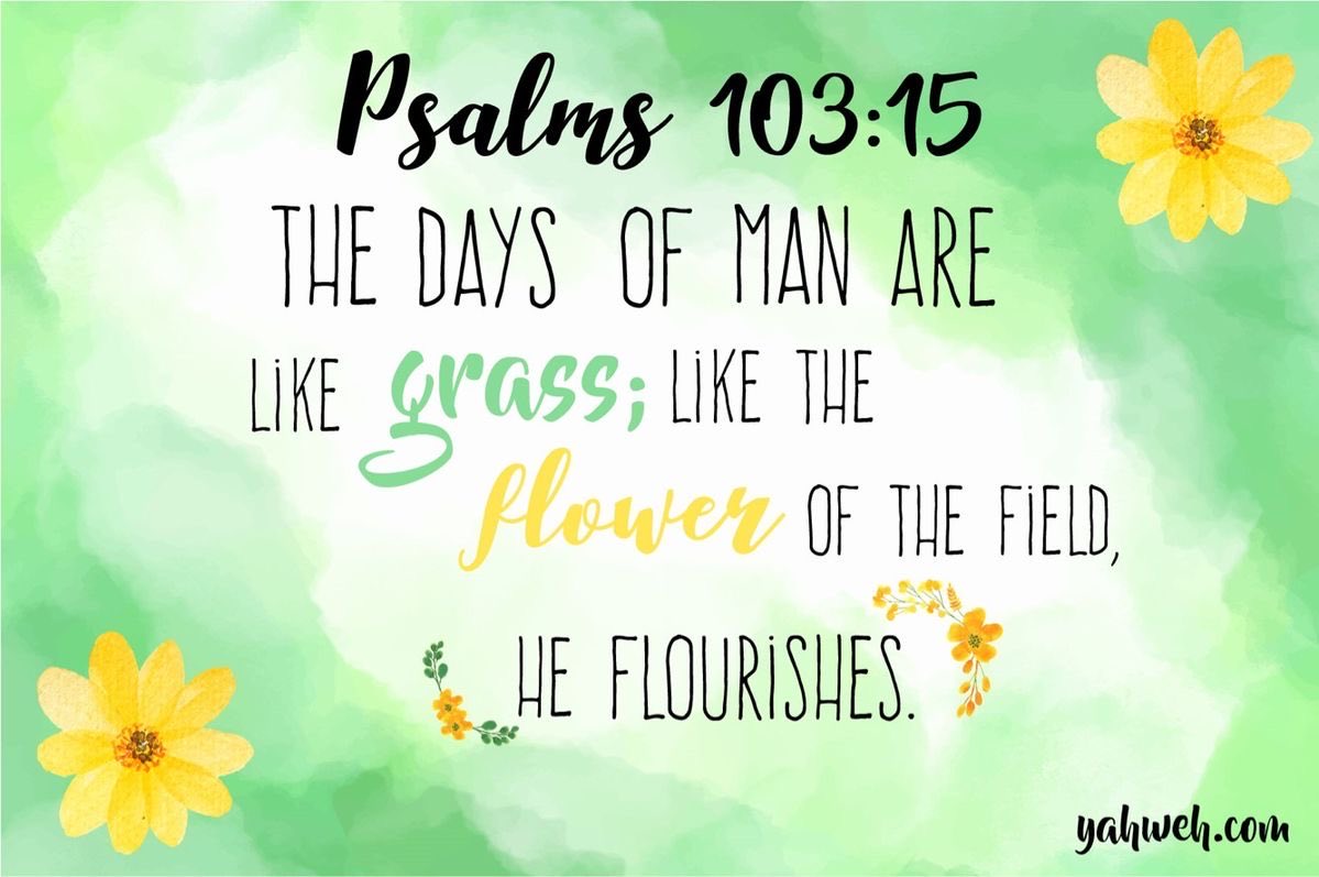 The House of Yahweh tweet media