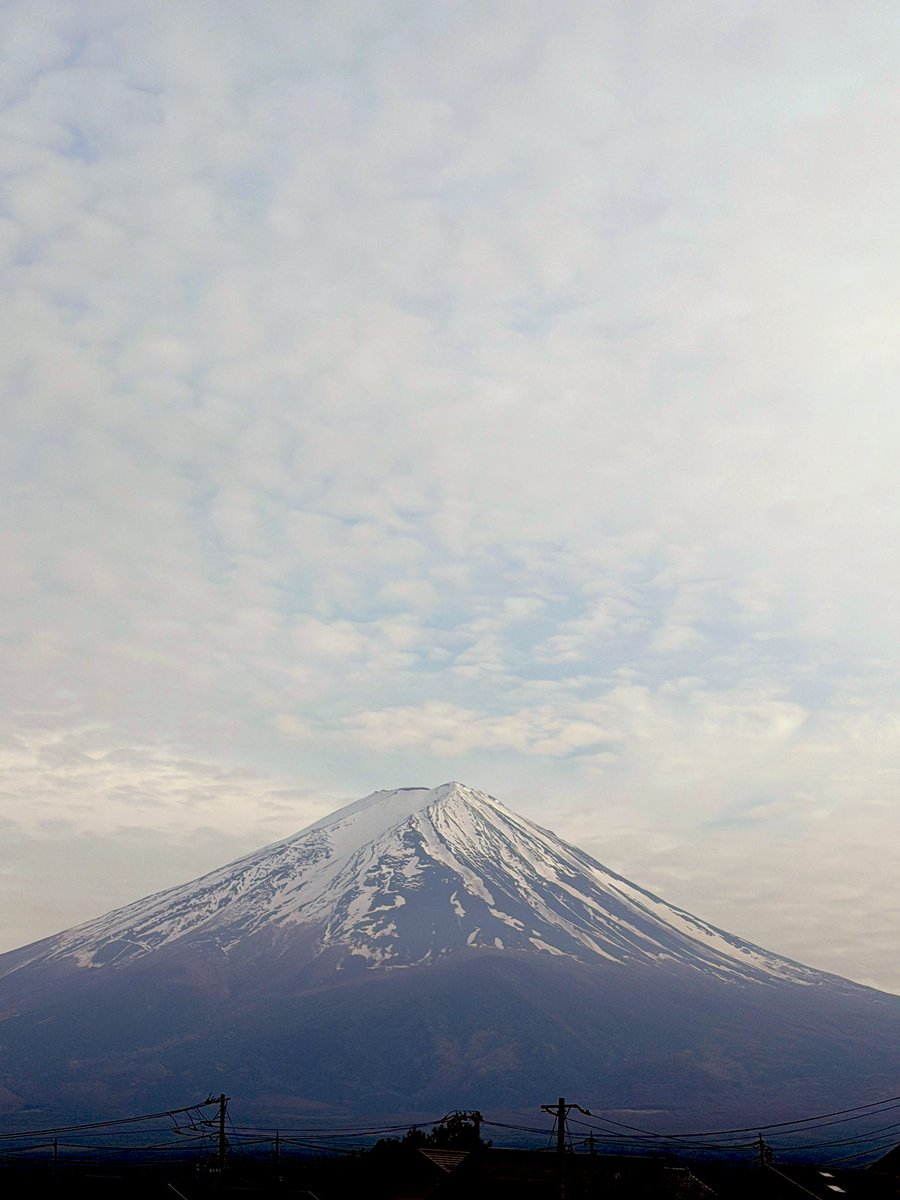 富士山コレクター大宮仁 tweet media