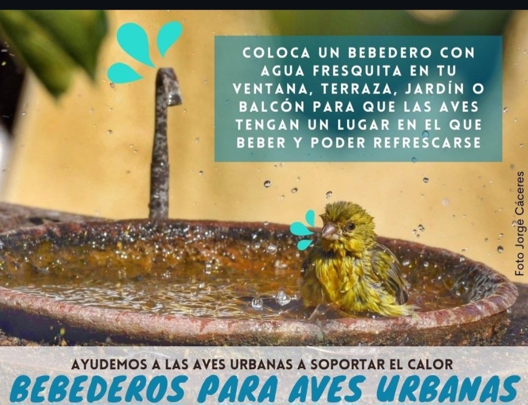 #ServicioSocial
