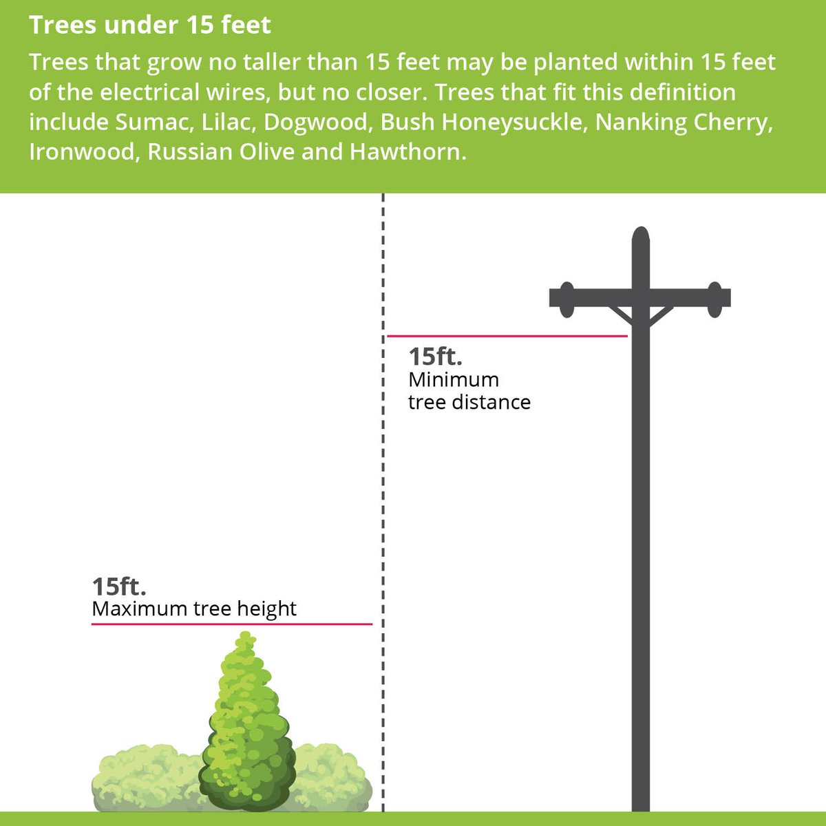 Dakota Electric® tweet media