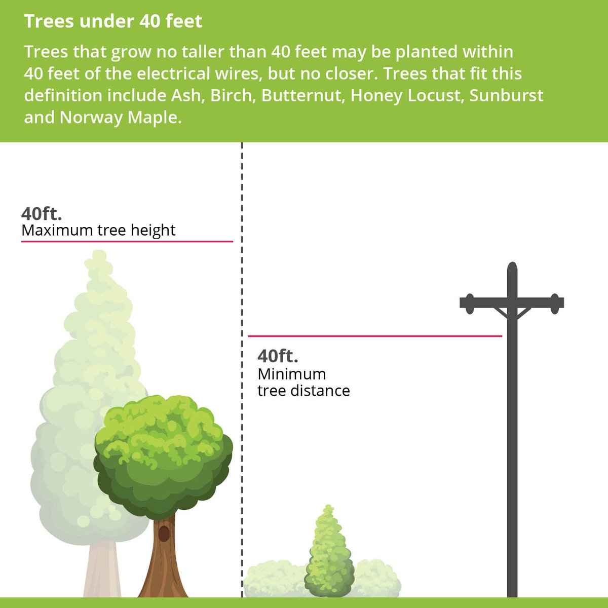 Dakota Electric® tweet media