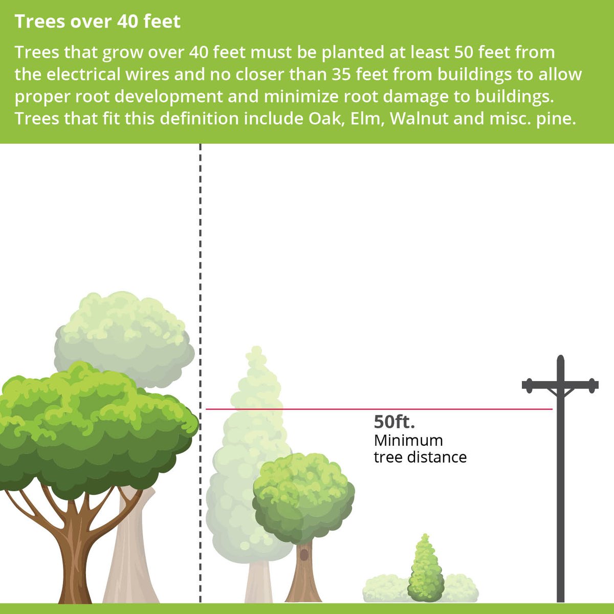 Dakota Electric® tweet media