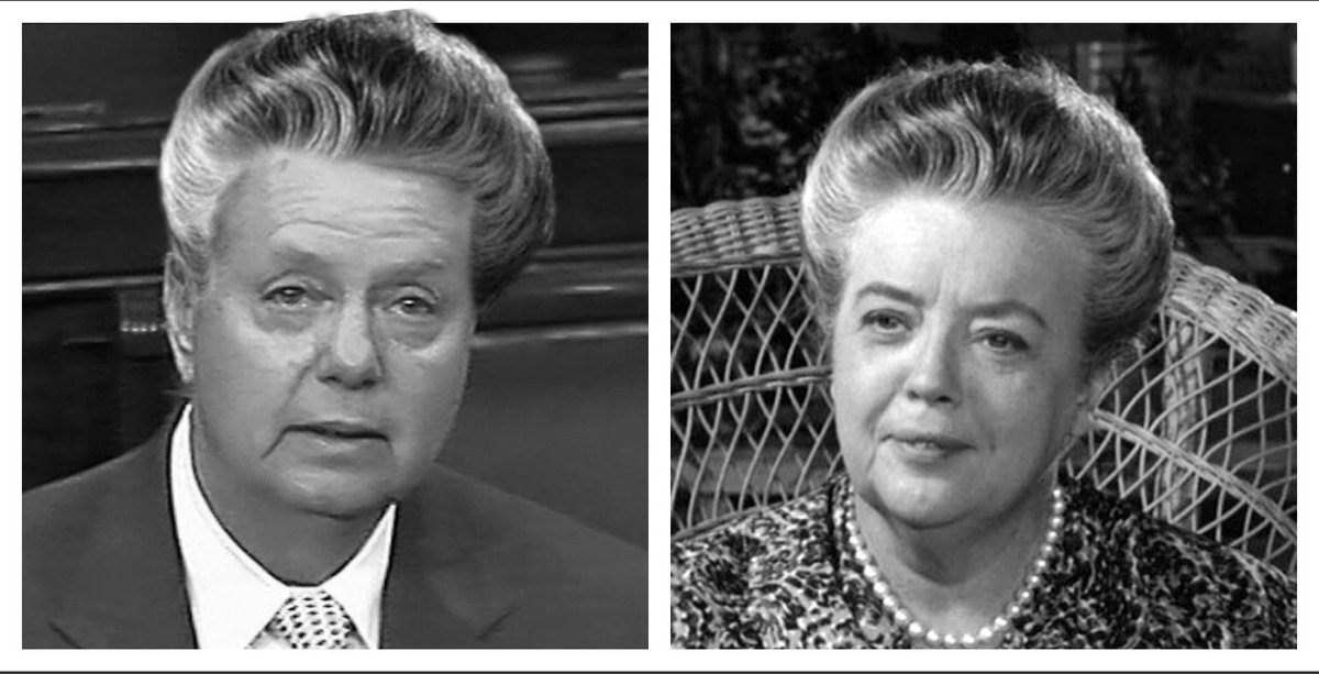 Paula Tempesta tweet media