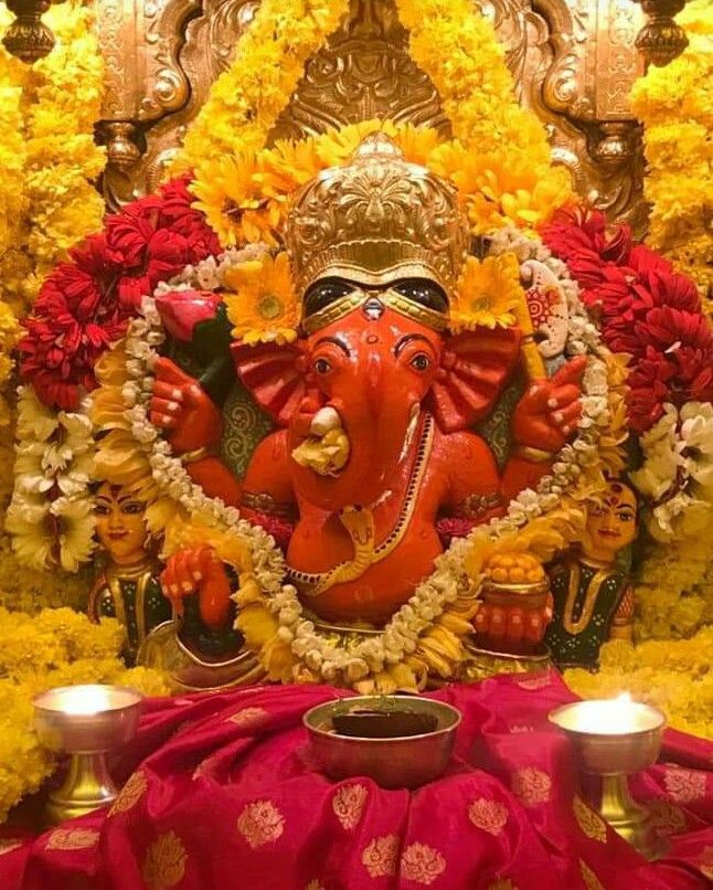 🥀 Mrityunjay Tiwari tweet media