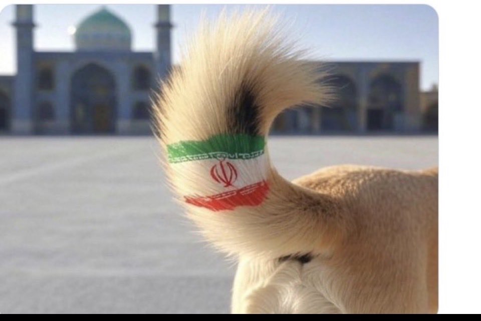 🦋🦋 tweet media