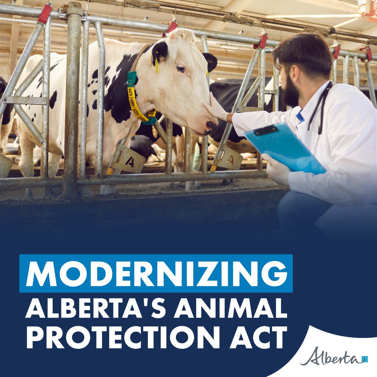TanyYao's tweet image. Alberta’s government is updating and modernizing the Animal Protection Act for the first time in 20 years,  through Bill 22.

For more information visit: alberta.ca/release.cfm?xI…

#RMWB #YMM #ABleg @youralberta @ucpcaucus @abdaniellesmith @brianjeanab