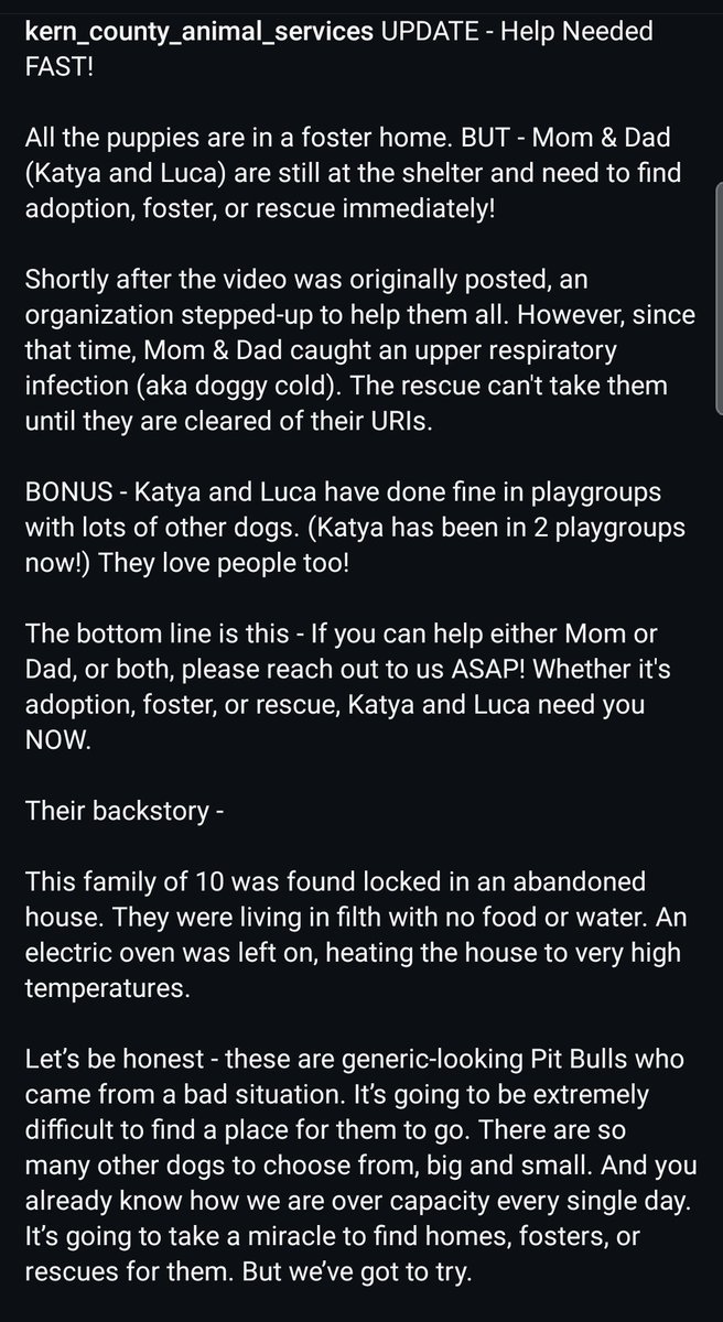 Foster a shelterpet at ZERO COST🐾 tweet media