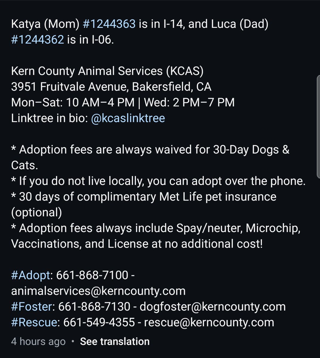 Foster a shelterpet at ZERO COST🐾 tweet media