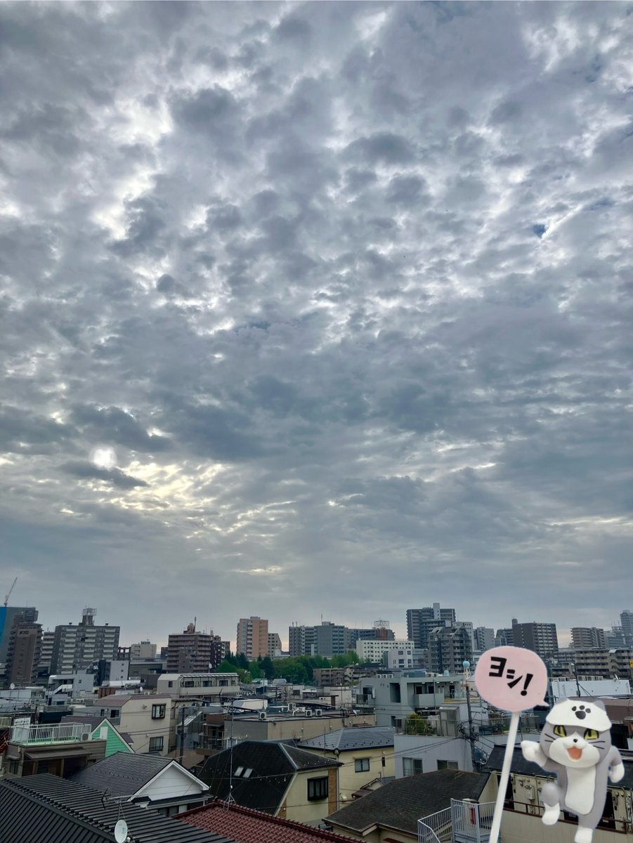 メルワキ tweet media