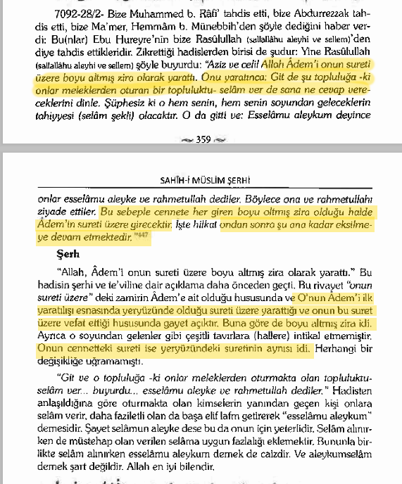 weslyvakanax's tweet image. 1- Dinî metinlere göre (Buhari, Müslim) ilk insan Adem’in boyu 60 zira, yani yaklaşık 30 metreydi. İddiaya göre insanlık ondan itibaren zamanla kısalarak bugünkü halini aldı. Peki, bu iddia bilimsel ve fiziksel olarak ne kadar tutarlı?#flood