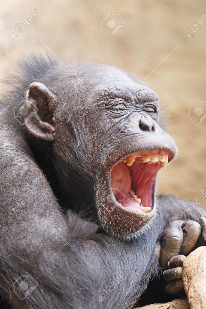 かもちぇる🌎👑 tweet media