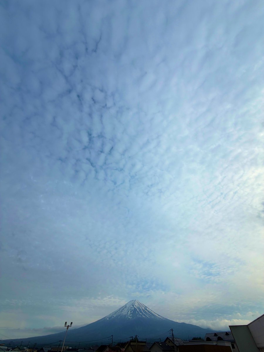 富士山コレクター大宮仁 tweet media