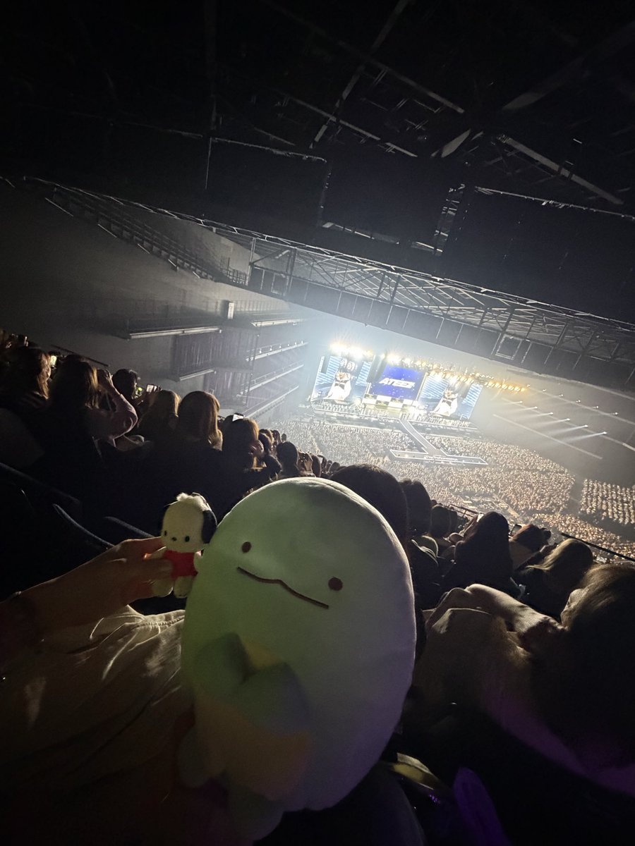 こひなた🍀🫧 tweet media