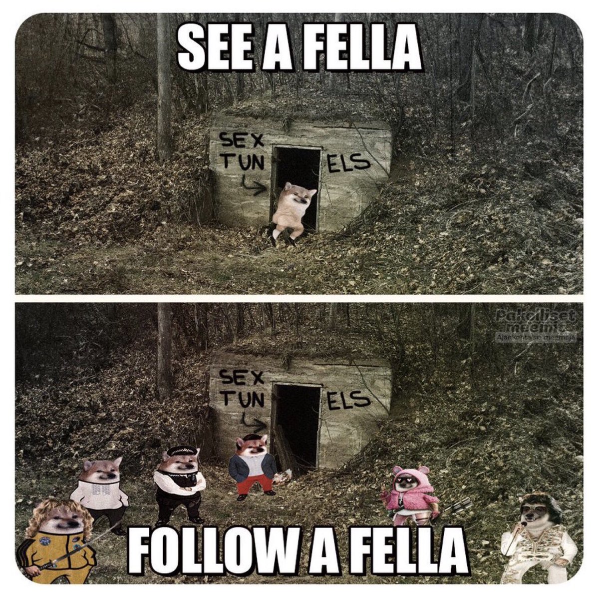 <a href="/FellaLeeds/">Leeds Fella : Slava Ukraini 🇺🇦 🇬🇧🇨🇦🇲🇽🇪🇺</a> Halcyon days! 🤣 Followed back 🫡