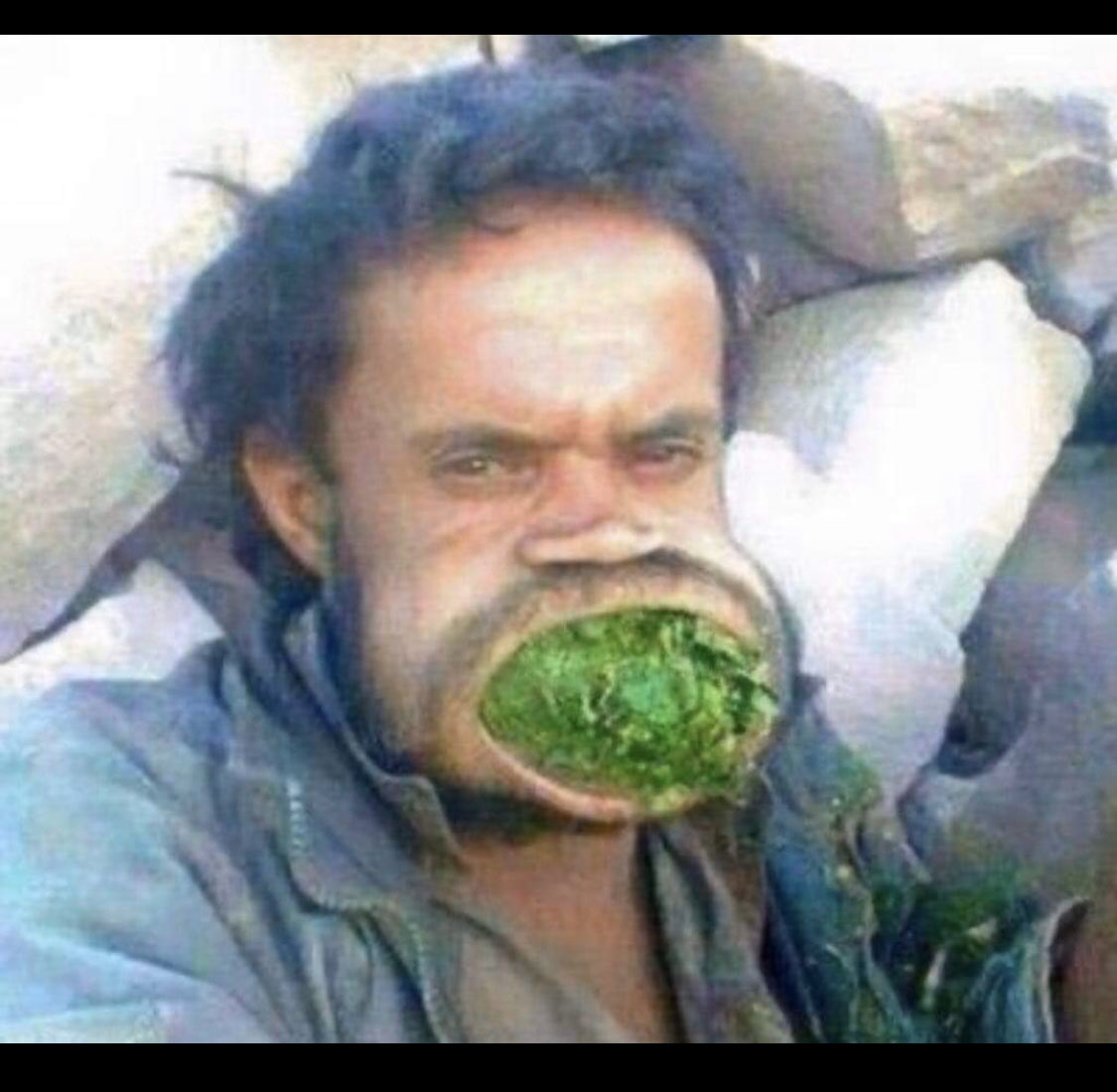 🦋🦋 tweet media