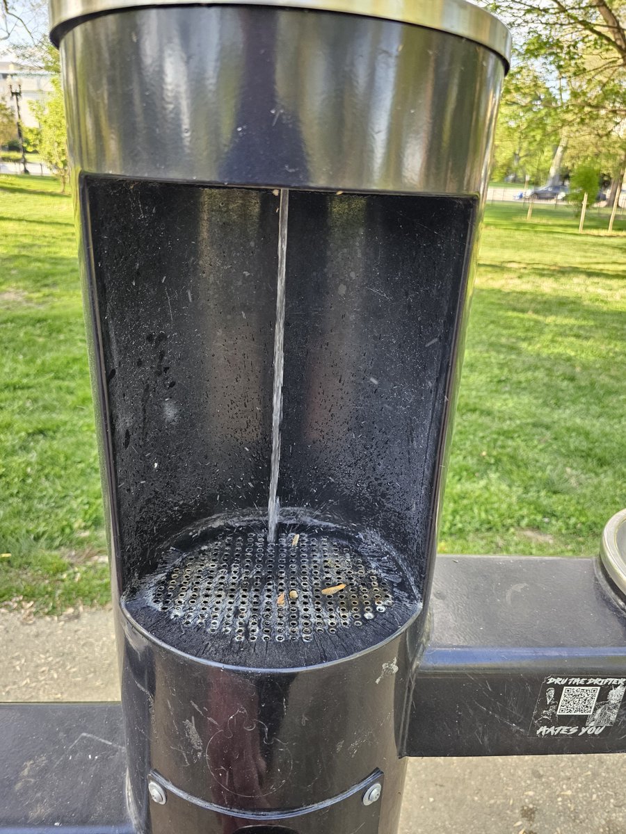 Doug Schneeberg tweet media