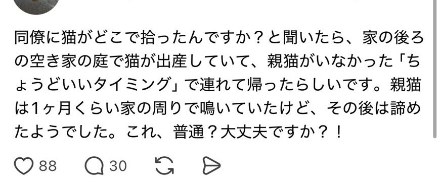 ちいかまちゃん🤢 tweet media