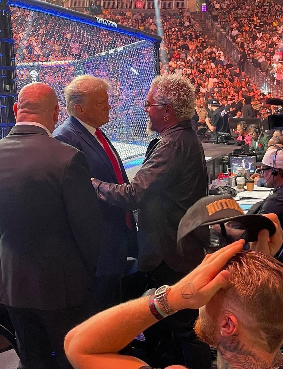 MSG Thatch tweet media