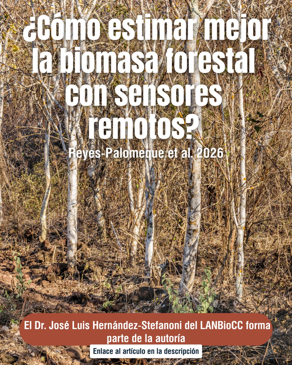 LNCBioCC's tweet photo. 🌳📡 Mapear biomasa en selvas secas es difícil… pero se puede mejorar

Un nuevo estudio combina GEDI + Sentinel-1/2 + Inventario Forestal para estimar biomasa en la Península de Yucatán con mayor precisión https://t.co/i6o81Wm8gJ